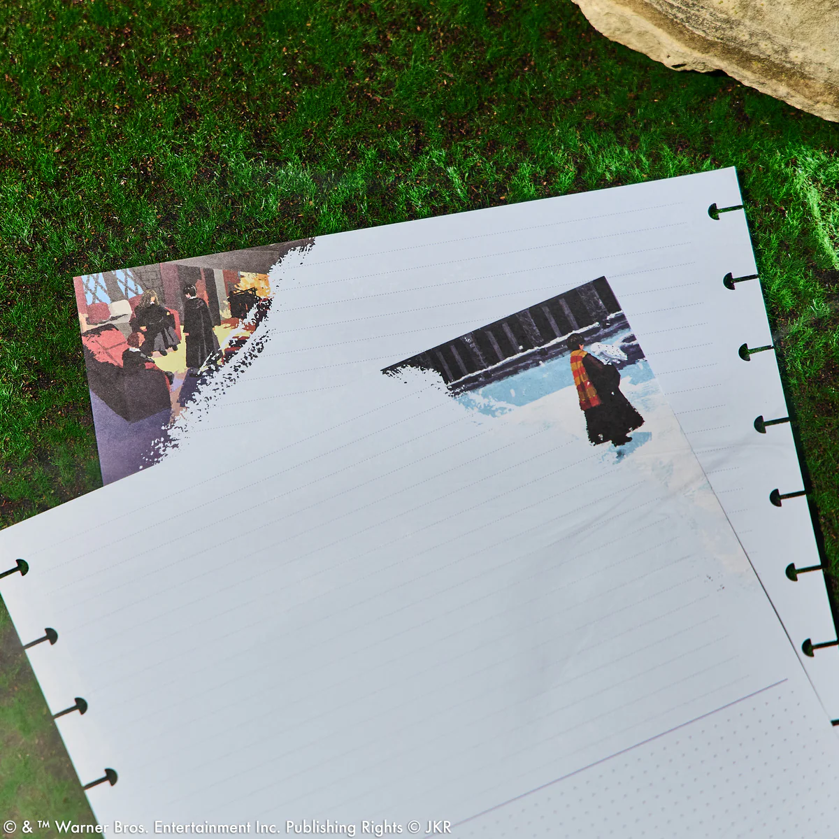 Thumbnail 4